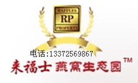 哪里能買到進口優(yōu)質燕窩 | 燕窩資產的精致管理與采購指南