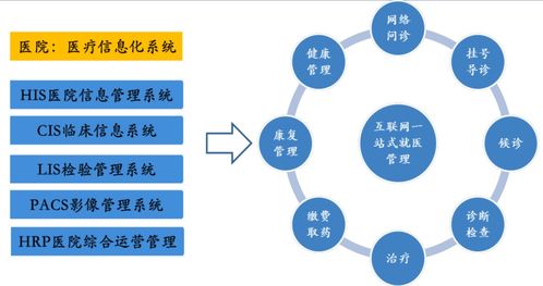 計算機軟件開發與應用 新基建浪潮下的核心驅動力